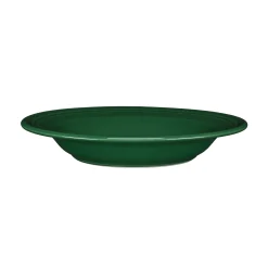 Classic Rim 9 Inch Soup Bowl 13 OZ