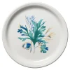 Coastal Shores Bistro Coupe 9 Inch Luncheon Plate