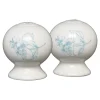 Fiesta Botanical Floral 2 5/8 Inch Salt and Pepper Shaker Set